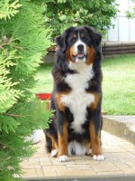 /album/fotogalerie/p1020682-jpg/