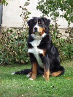 /album/fotogalerie/p1040247-jpg/