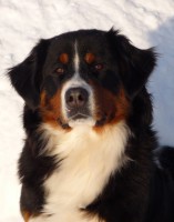 /album/fotogalerie/p1050608-jpg/