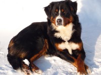 /album/fotogalerie/p1050610-jpg/