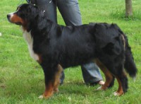 /album/fotogalerie/annie2-jpg1/