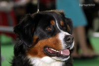 /album/fotogalerie/img-3000-jpg/