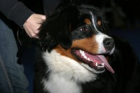 /album/fotogalerie/img-7309-jpg/