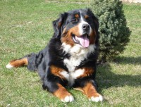 /album/fotogalerie/p1060383-jpg/