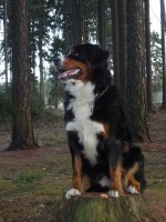 /album/fotogalerie/p1050292-jpg/