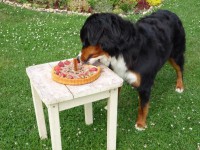 /album/fotogalerie/p1020828-jpg/