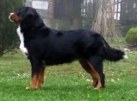 /album/fotogalerie/anniepodzim3-jpg/