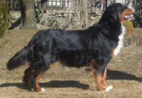 /album/fotogalerie/anca5-jpg1/