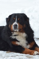 /album/fotogalerie/unor1-jpg/