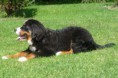 /album/ardon-grand-mohutne-srdce/p1100480-jpg/